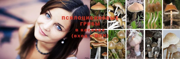 винт Баксан