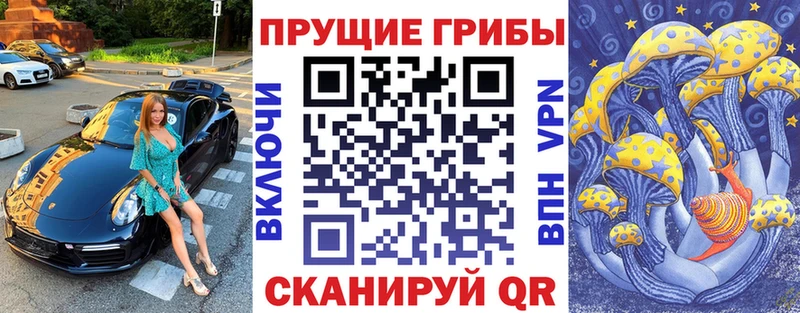 кракен ССЫЛКА  Каспийск  Псилоцибиновые грибы Psilocybine cubensis 