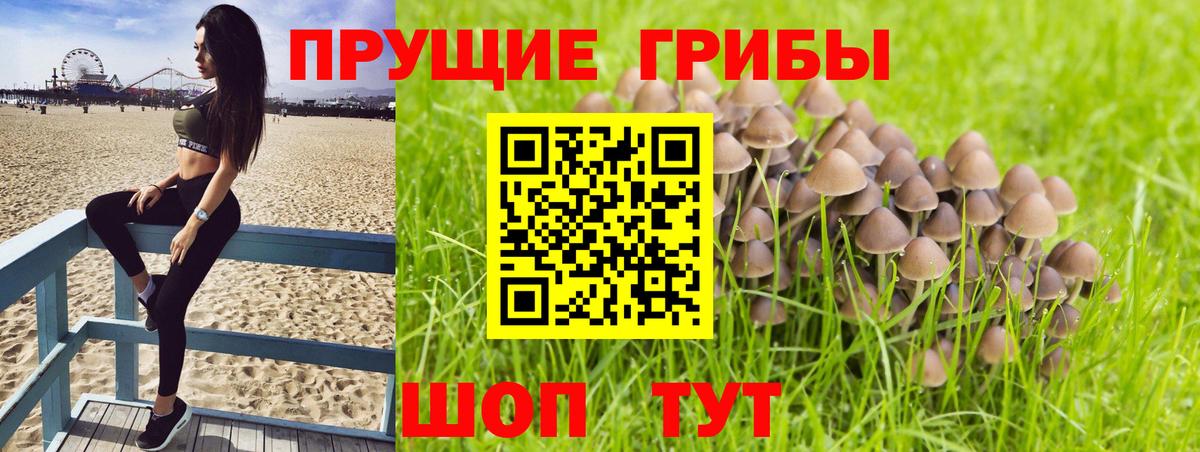Псилоцибиновые грибы Psilocybine cubensis  Вход с VPN  Каспийск  Галлюциногенные грибы MAGIC MUSHROOMS 